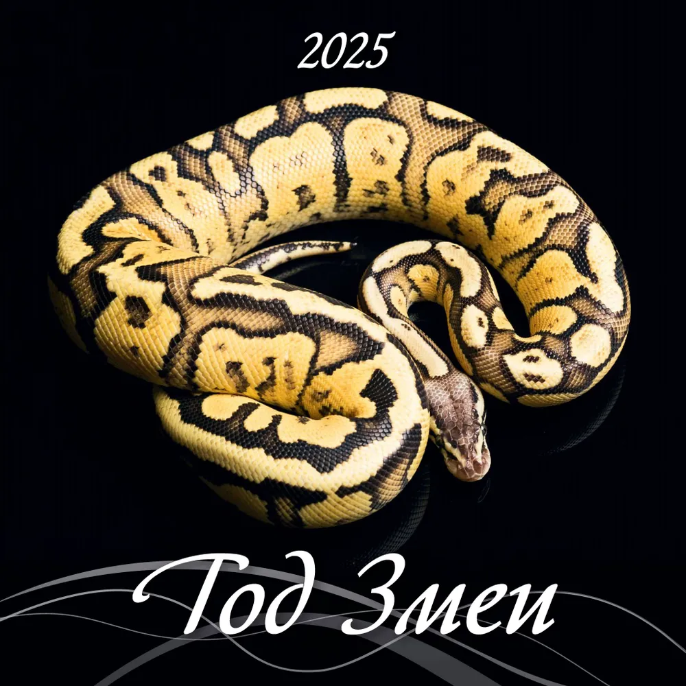 Wall desk calendar "Year of the Snake" for 2025