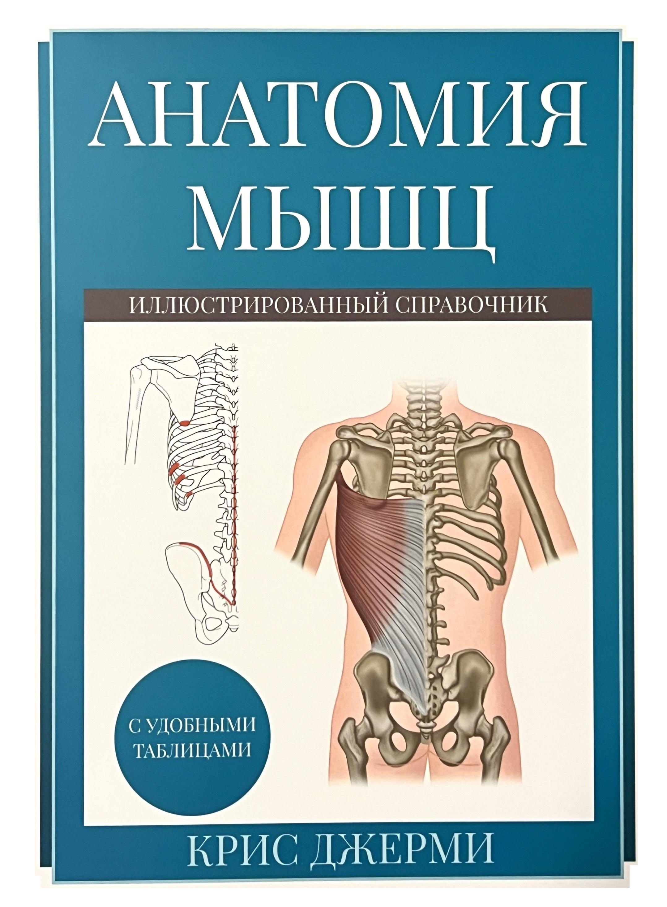 Anatomy of muscles. Illustrated reference book
