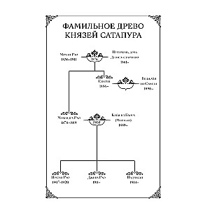 Mēness akmens no Satapura. Grāmata 2