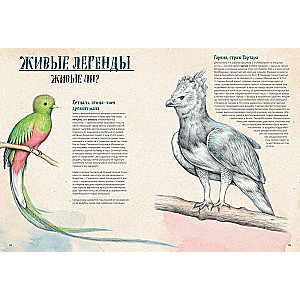 На грани исчезновения. Животный мир Земли