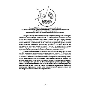 Elektriskie un elektroniskie aparāti un to izmantošana naftas un gāzes nozarē