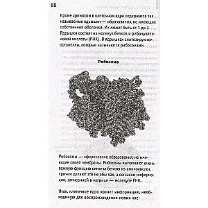 Anatomija. Cilvēka atklāšana