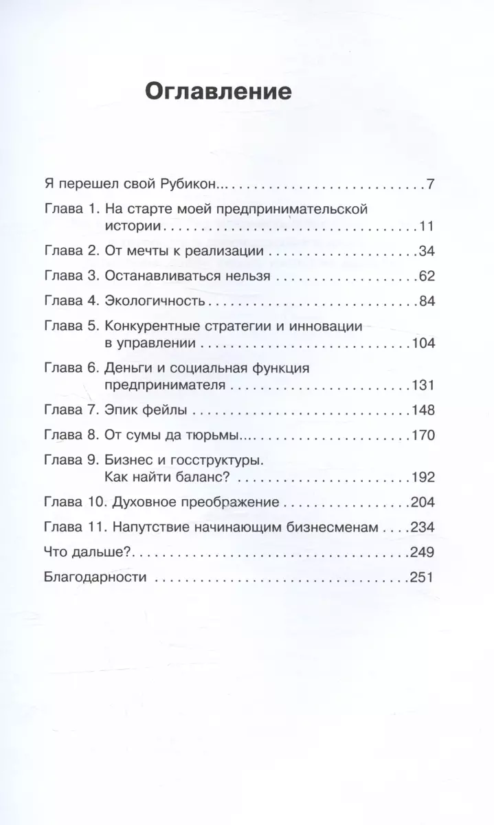 Dzīves upe. Biznesa romāns