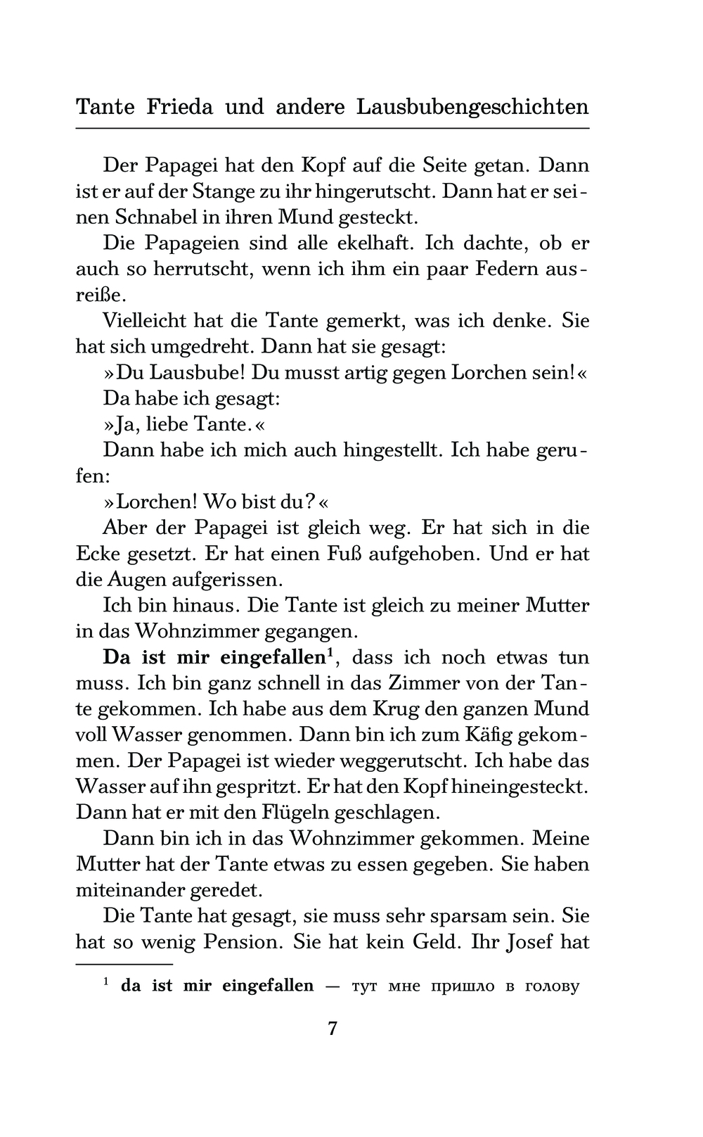 Tante Frieda und andere Lausbubengeschichten