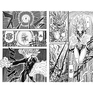 One-Punch Man. Grāmata 14. Visa Tornado spēks. Bezdibenī