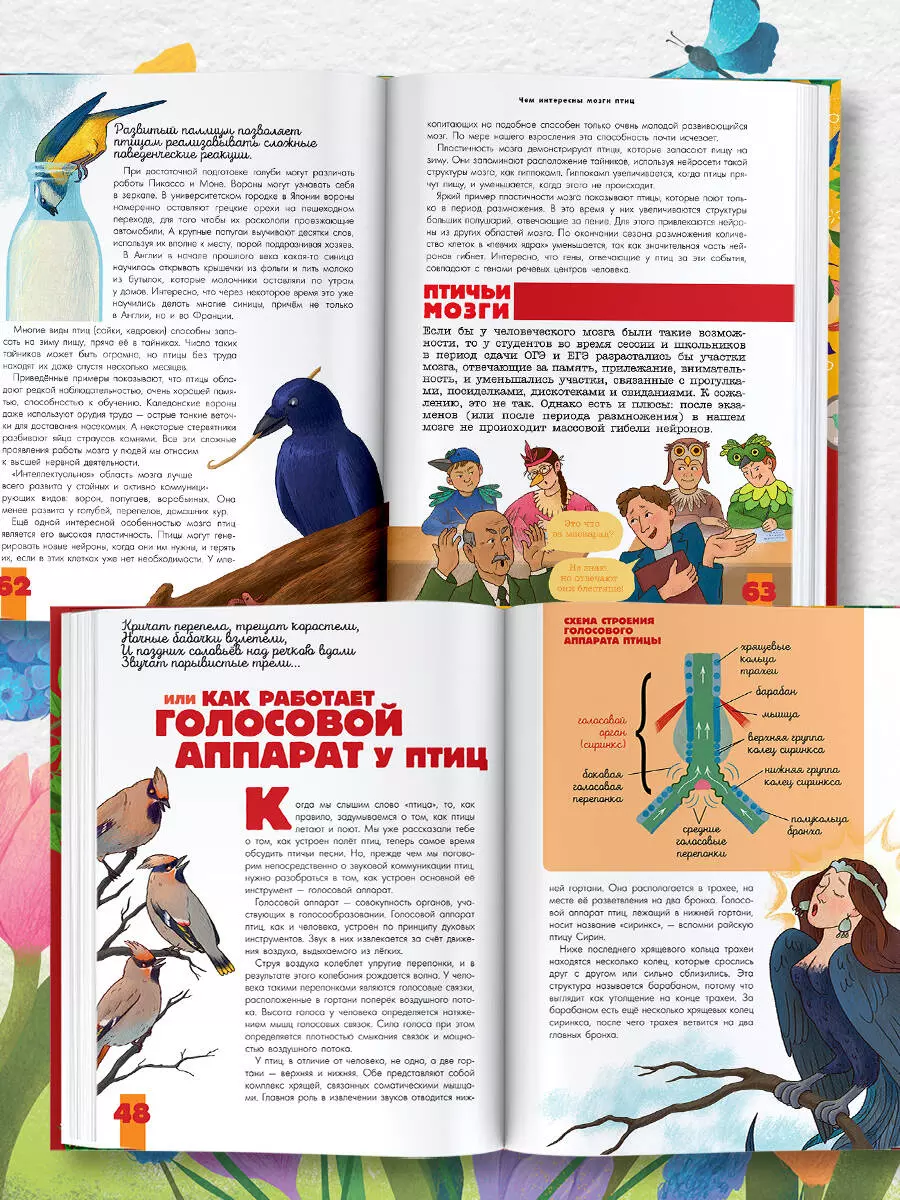 Putni. Bioloģija. Fizioloģija