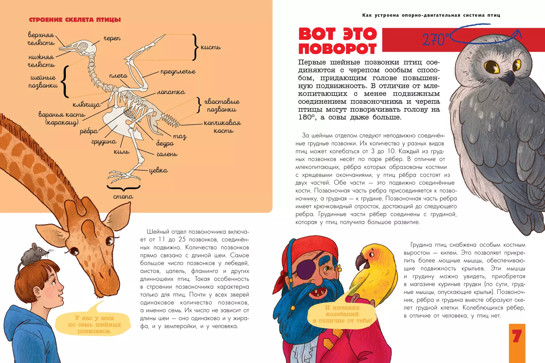 Putni. Bioloģija. Fizioloģija
