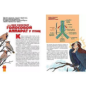 Putni. Bioloģija. Fizioloģija