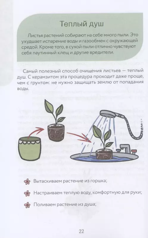 Netipisks ziedu audzētājs. Špikeris-sekots par telpaugu kopšanu alternatīvā substrātā