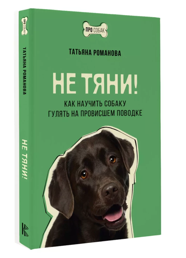 Nepavelc! Kā iemācīt suni staigāt ar piekārto pavadu