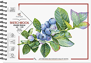 Bloknotu-sketchbook Fine Line Classic Format
