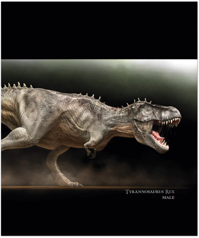 Dinozauru piezīmju grāmata