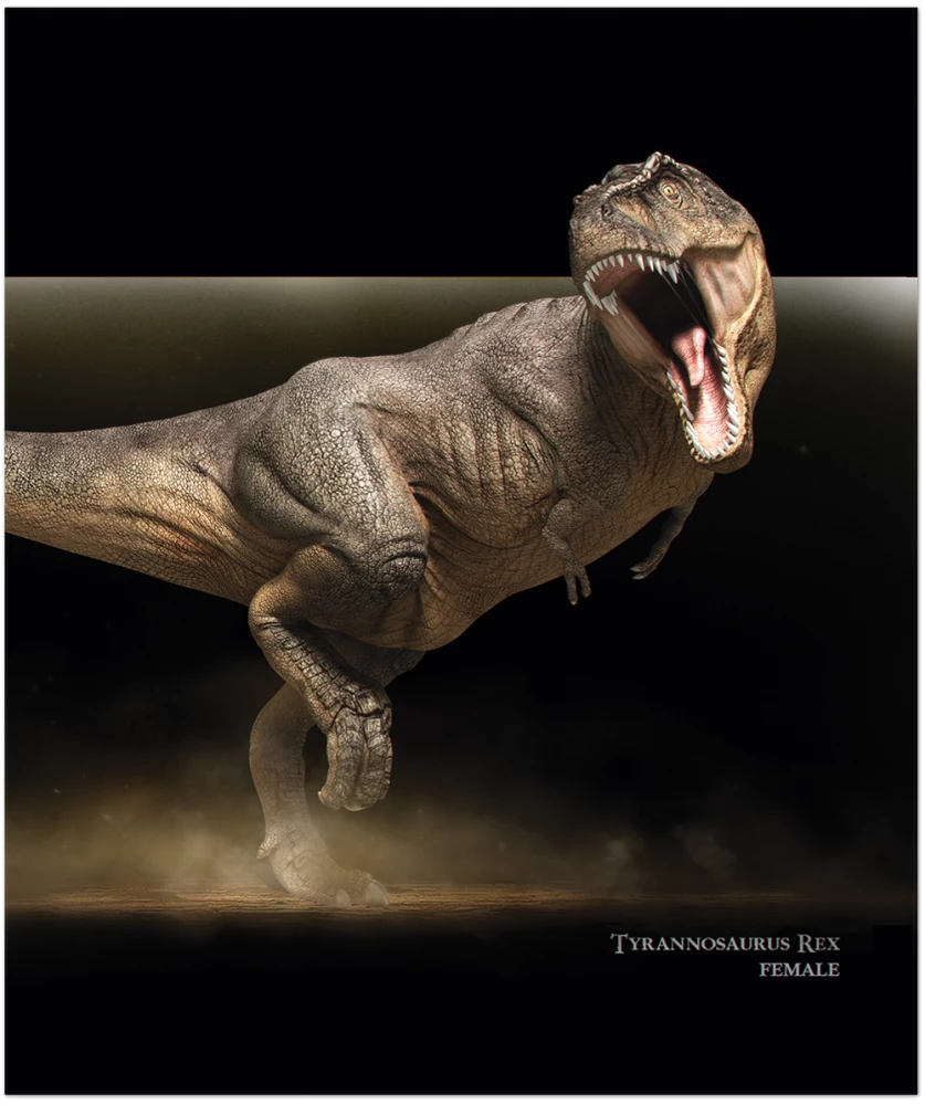 Dinozauru piezīmju grāmata