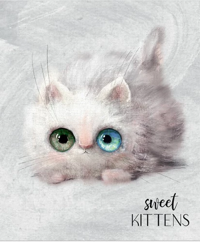 Acis Acīgās kaķīši