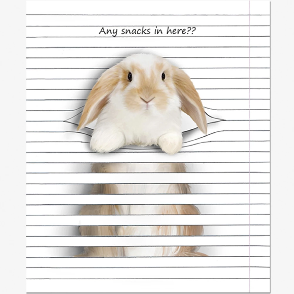 Piezīmju grāmatiņa Animals Between Lines