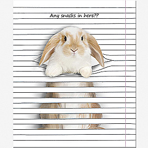 Piezīmju grāmatiņa Animals Between Lines