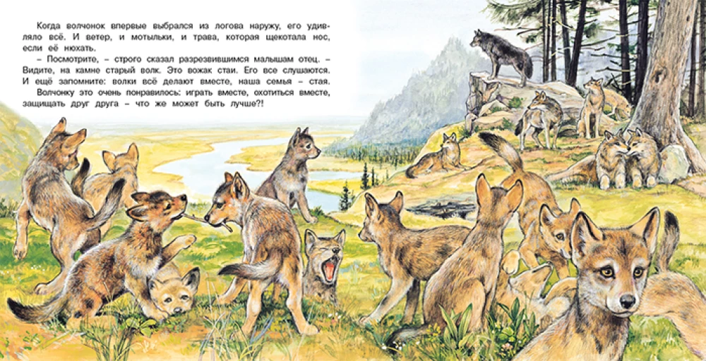 Vilku piedzīvojumi