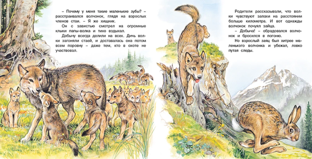 Vilku piedzīvojumi