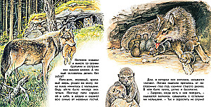 Vilku piedzīvojumi