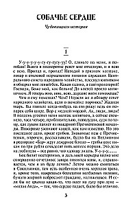 Suns sirds. Velniade. Traģiskie olas. Jaunā ārsta piezīmes. Morfijs. Es nogalināju