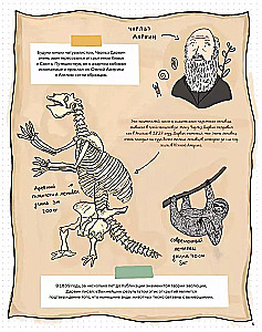 Akmeņi un kauli. Fosilijas un stāsti, ko tās stāsta