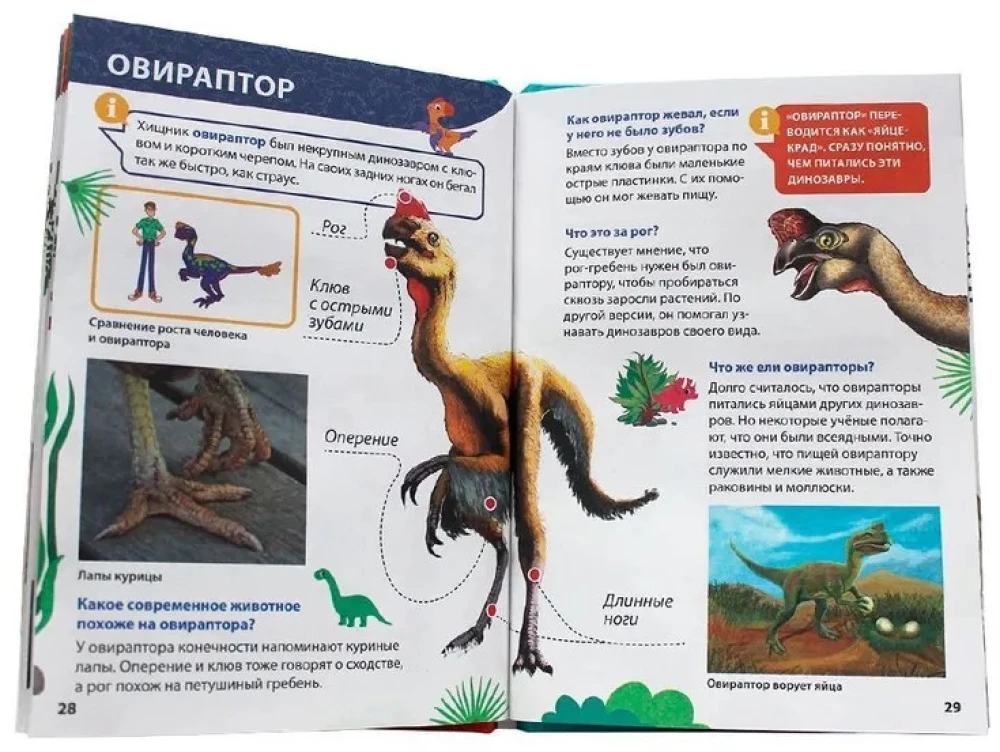 Encyclopēdija maziem kāpēcīšiem. Dinosauri