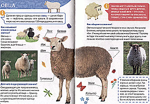 Encyclopēdija maziem kāpēcīšiem. Lauksaimniecības dzīvnieki