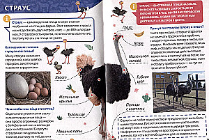 Encyclopēdija maziem kāpēcīšiem. Lauksaimniecības dzīvnieki