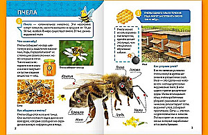 Encyclopēdija maziem kāpēcīšiem. Kukaiņi