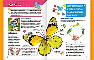 Encyclopēdija maziem kāpēcīšiem. Kukaiņi