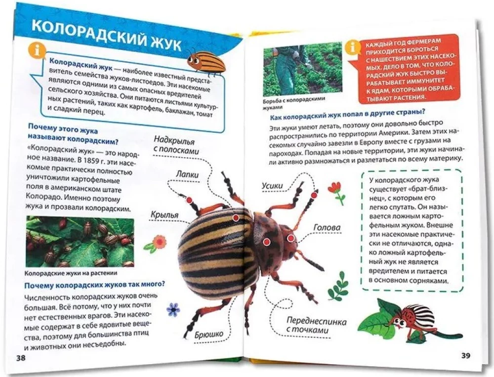 Encyclopēdija maziem kāpēcīšiem. Kukaiņi