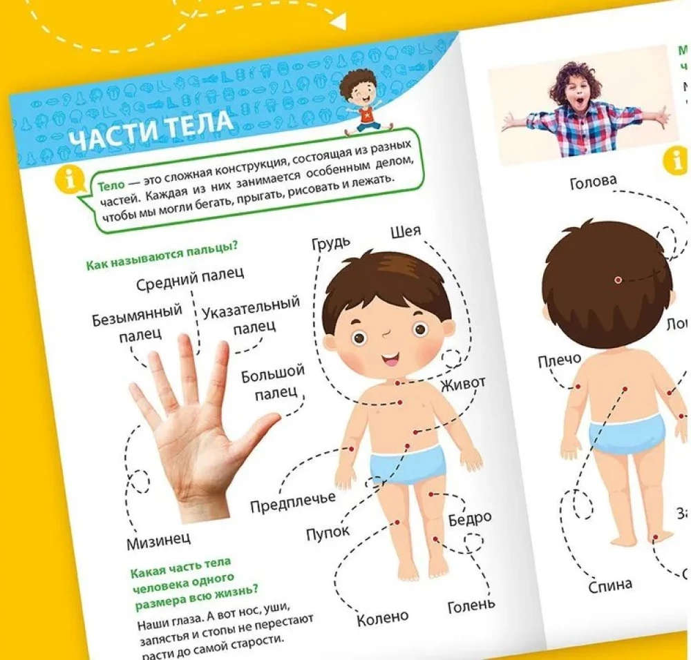Encyclopēdija maziem kāpēc jautātājiem. Cilvēka ķermenis