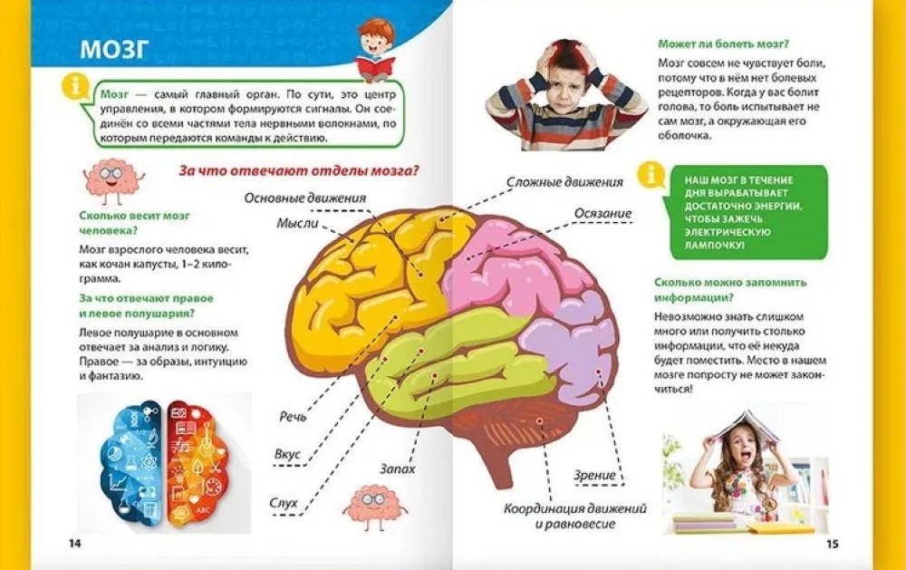 Encyclopēdija maziem kāpēc jautātājiem. Cilvēka ķermenis