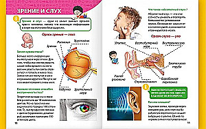 Encyclopēdija maziem kāpēc jautātājiem. Cilvēka ķermenis