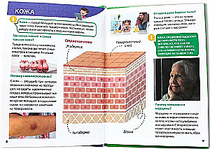 Encyclopēdija maziem kāpēc jautātājiem. Cilvēka ķermenis