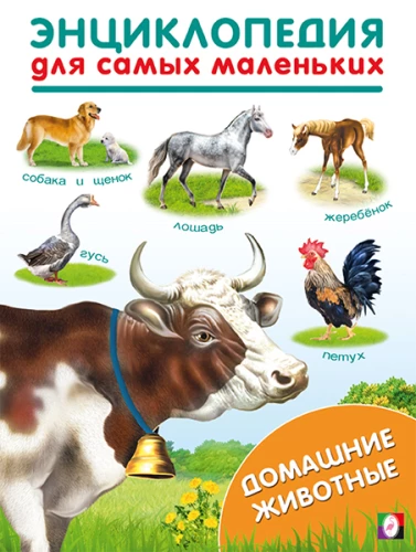 Mājas dzīvnieki