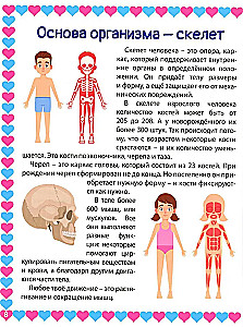 Dzimumaudzināšana - ko obligāti jāzina! Likbez bērniem un vecākiem