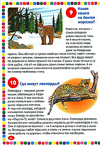 Dzīvnieki. Enciklopēdija bērniem no 5 līdz 9 gadiem. 111 atbildes uz jautājumiem par visu