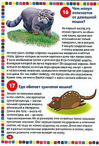 Dzīvnieki. Enciklopēdija bērniem no 5 līdz 9 gadiem. 111 atbildes uz jautājumiem par visu