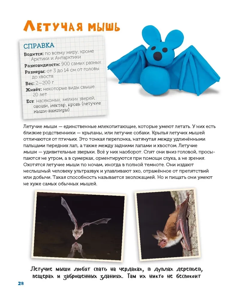 Veidojam no plastilīna. Izpētām dzīvniekus