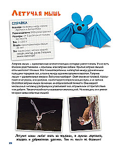 Veidojam no plastilīna. Izpētām dzīvniekus