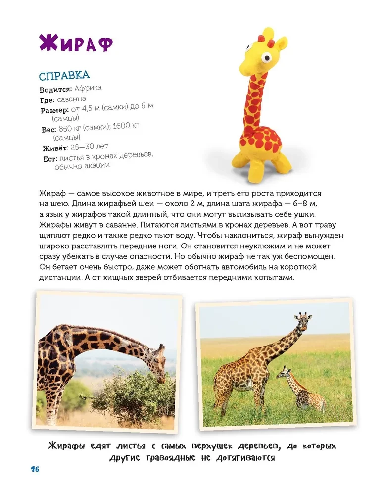 Veidojam no plastilīna. Izpētām dzīvniekus