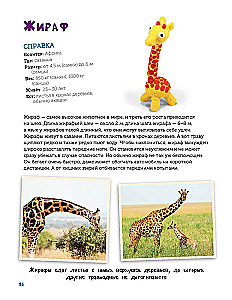 Veidojam no plastilīna. Izpētām dzīvniekus