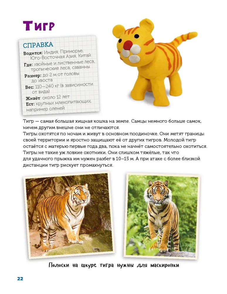 Veidojam no plastilīna. Izpētām dzīvniekus