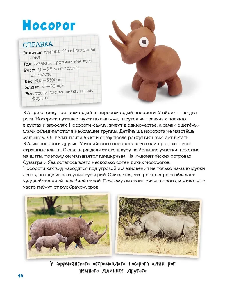 Veidojam no plastilīna. Izpētām dzīvniekus