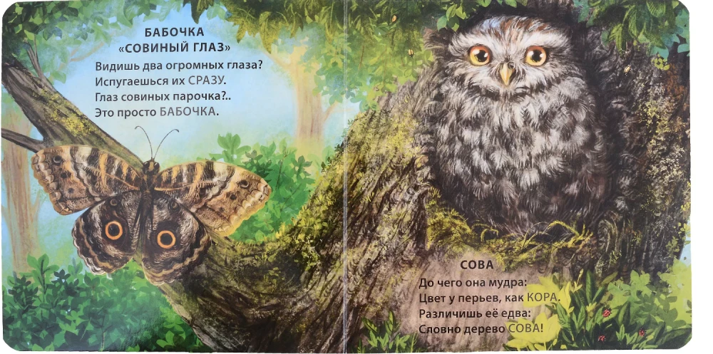 Grāmatas - kartona. Mīklas - dzejoļi. Dzīvnieki - neredzamie