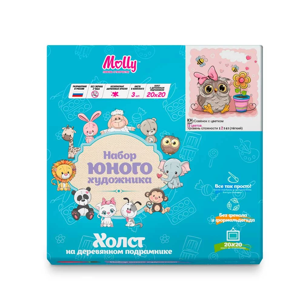 Molly (20x20) numuru glezna Pūce ar ziedu
