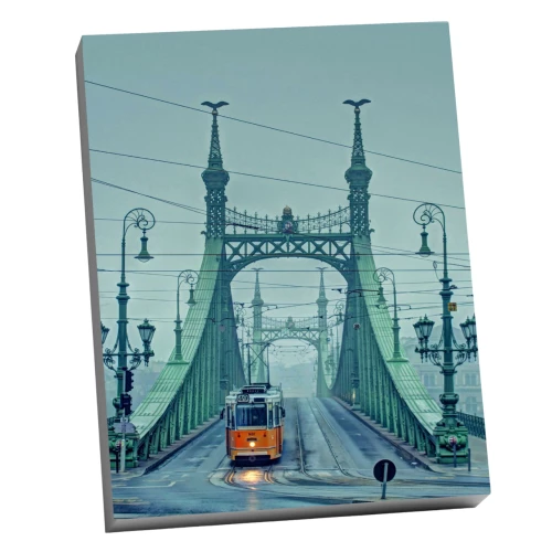 Numuru glezna Molly (40x50) Budapešta. Brīvības tilts