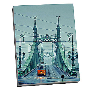 Numuru glezna Molly (40x50) Budapešta. Brīvības tilts