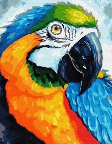 Numuru glezna ar zeltu Molly (15x20) Ara papagailis